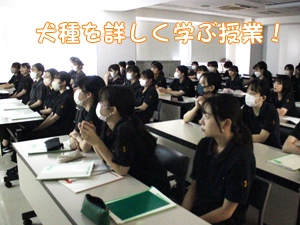 動物が好きだから…？
